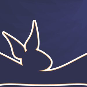 <strong>连续11年称霸《胡润百富榜》， 属兔的企业家真的特别厉害？</strong>