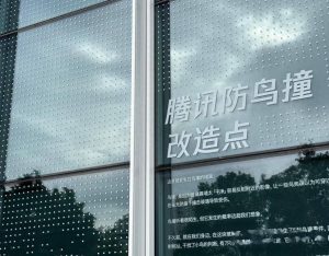 防鸟撞贴纸：企业ESG战略中的“看得见”责任与机遇