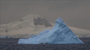 南极冰川两个月内缩水一半 全球暖化警钟再响  企业如何在“碳时代”重塑战略