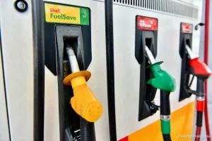 BUDI95为补贴制度改革　政府无意以现金回扣取代