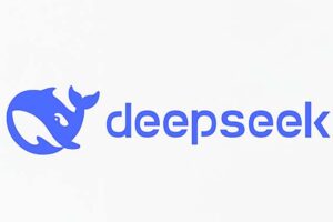 DeepSeek 遭遇“最长黑暗时刻”：服务器瘫痪超 12 小时后终恢复
