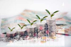 EPF：一项影响企业和国家经济的制度安排