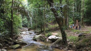 马来西亚地质旅游迈向国际化：玲珑与砂拉越三角洲列世界地质公园