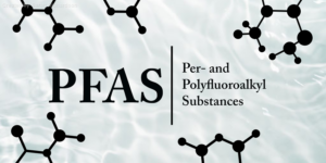 环境组织促请政府全面监管“永久性化学品”PFAS