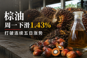 棕油周一下滑1.43% 打破连续五日涨势