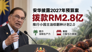 安华披露2027年预算案重要措施：建议拨款RM2亿8003万推行小园主油棕翻种计划（TSPKS）2.0，提升油棕生产力，兼顾小贩及小型商贩