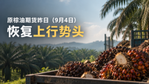 原棕油期货昨日(9月4日)恢复上行势头,RHB研究正面看待油棕行业,能源通胀叠加植物油需求驱动