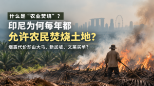 什么是“农业焚烧”?印尼为何每年都允许农民焚烧土地,烟霾代价却由大马、新加坡、文莱买单?