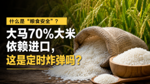 什么是“粮食安全”？大马70%大米依赖进口，这是定时炸弹吗？