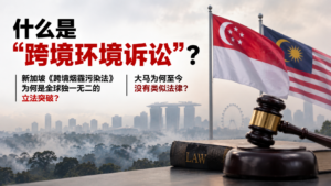 什么是“跨境环境诉讼”?新加坡《跨境烟霾污染法》为何是全球独一无二的立法突破,大马为何至今没有类似法律?